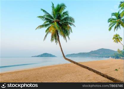 beautiful coconut palms and tropical beach
