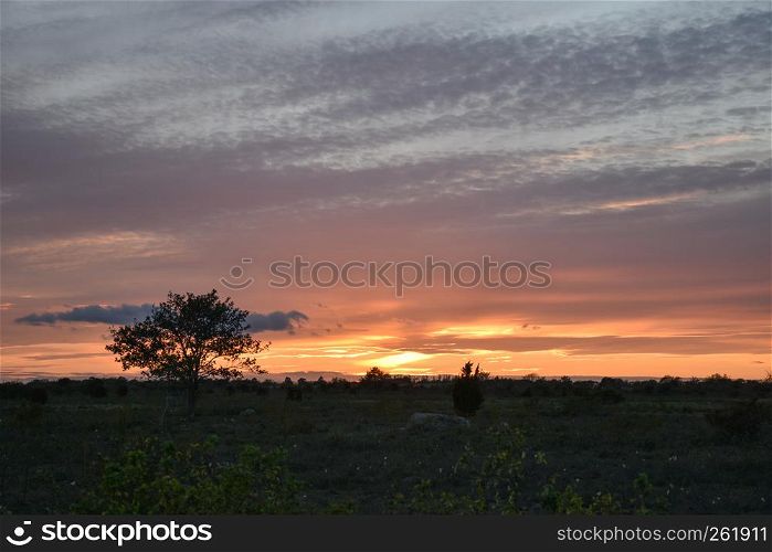 Beautiful colored skies by sunset and a tree silhouette in the landscape
