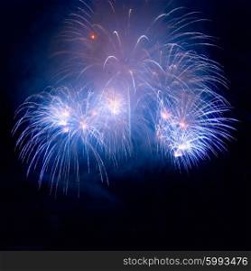 Beautiful colorful blue holiday fireworks on the black sky background