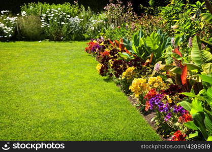 Beautiful colorful flower garden with various flowers