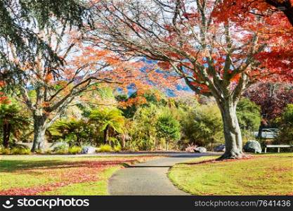 beautiful colorful trees and pond in autumn park, New Zealand