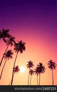 Beautiful colorful tropical sunset with coconut palm trees silhouettes vertical with copy space