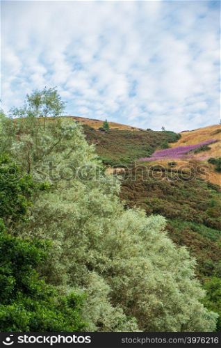 Beautiful colors of foliage on hills above St Margaret&rsquo;s Loch in Edinburgh, Scotland.