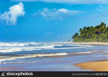 Beautiful completely deserted Sargi beach surrounded by coconut trees on a sunny day in Serra Grande on the south coast of Bahia, Brazil. Beautiful completely deserted Sargi beach surrounded by coconut trees