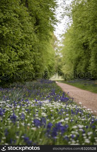 Beautiful conceptual fresh Spring landscape image of bluebell and wild garlic in forest in bright glowing sunlight