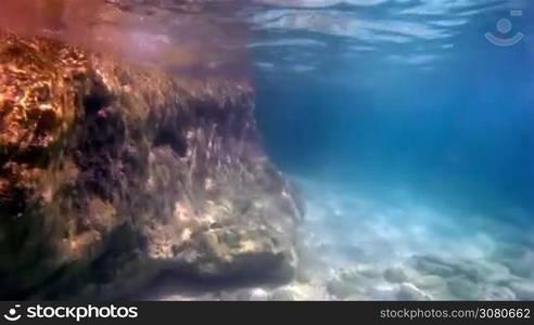 Beautiful Coral Reef .Underwater life in the sea