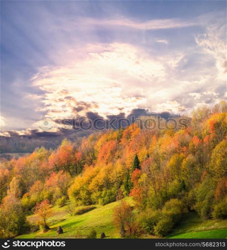 Beautiful country autumnal landscape in Carpathian mountains