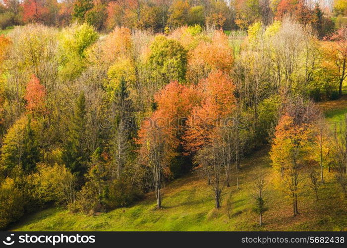 Beautiful country autumnal landscape in Carpathian mountains