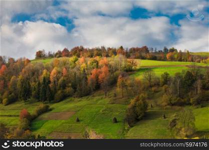 Beautiful country autumnal landscape in Carpathian mountains. autumnal landscape