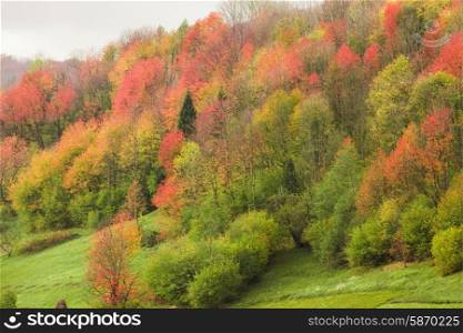 Beautiful country autumnal landscape in the mountains. autumnal landscape