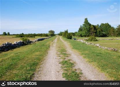 Beautiful country road in a plain swedish grassland at the swedish island Oland