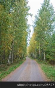 Beautiful country road in fall season colors