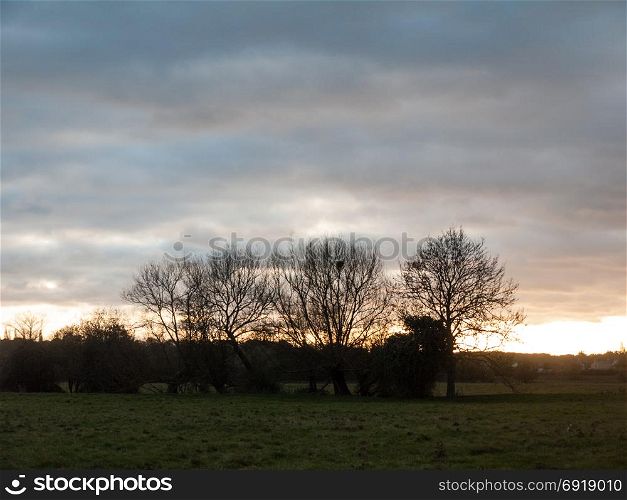 beautiful country sunset landscape trees sky dramatic open space; essex; england; uk
