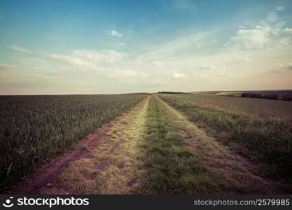 Beautiful countryside landscape