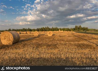 Beautiful Countryside Landscape: Round Hay Bales in Harvested Fields and Blue Sky with Clouds