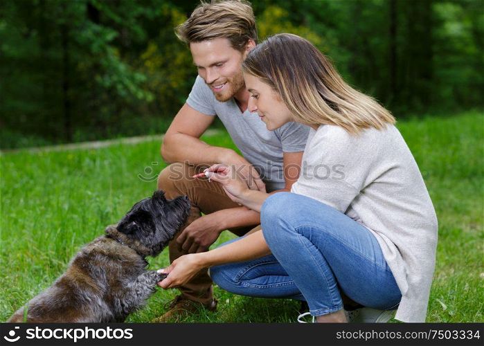 beautiful couple cuddling and walking a dog outdoors