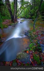 Beautiful creek in the forest in Spain, near the village Les Planes de Hostoles in Catalonia. Long exposure picture.