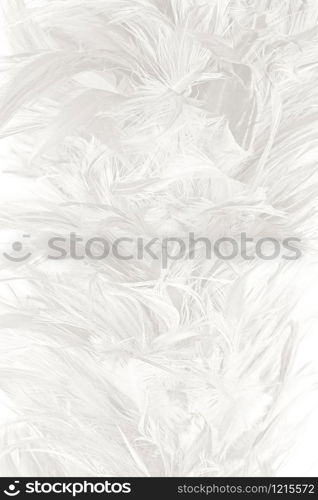 Beautiful dark red maroon feather pattern texture background