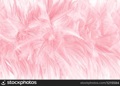 Beautiful dark red maroon feather pattern texture background