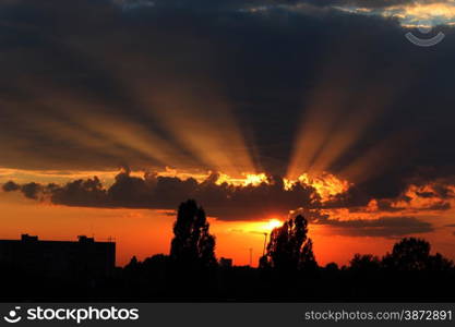 beautiful dark summer decline with dark sky trees and the last sun beams. beautiful summer sunset with dark sky and sun