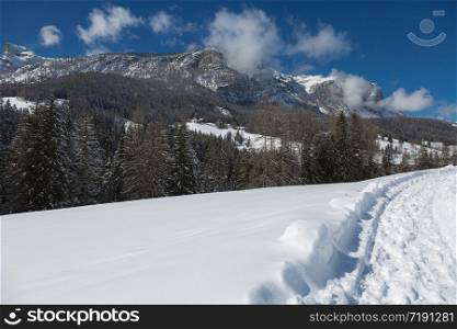 Beautiful Day in the Mountains with Snow-covered Fir Trees and a Snowy Mountain Panorama.. Beautiful Day in the Mountains with Snow-covered Fir Trees and a Snowy Mountain Panorama