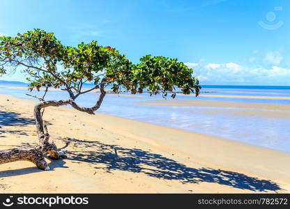 Beautiful day on the beach at Cape Tribulation, Queensland, Australia