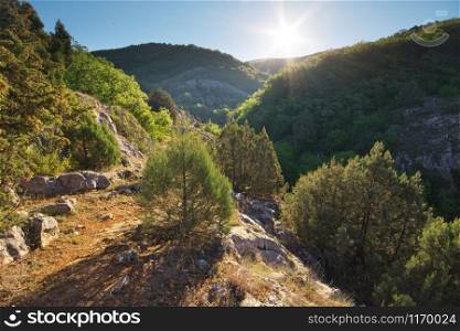 Beautiful daylight mountain landscape. Nature composition.