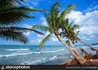 Beautiful daytime over Coconut tree with the sea the horizon at Hat chao lao beach in Chanthaburi Thailand.
