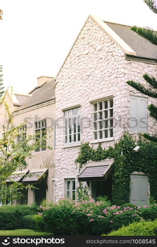 Beautiful decoration of English country style building covered with green creeper plant