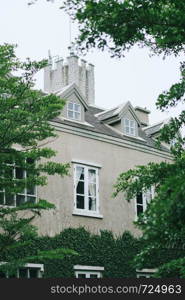 Beautiful decoration of English country style building covered with green creeper plant