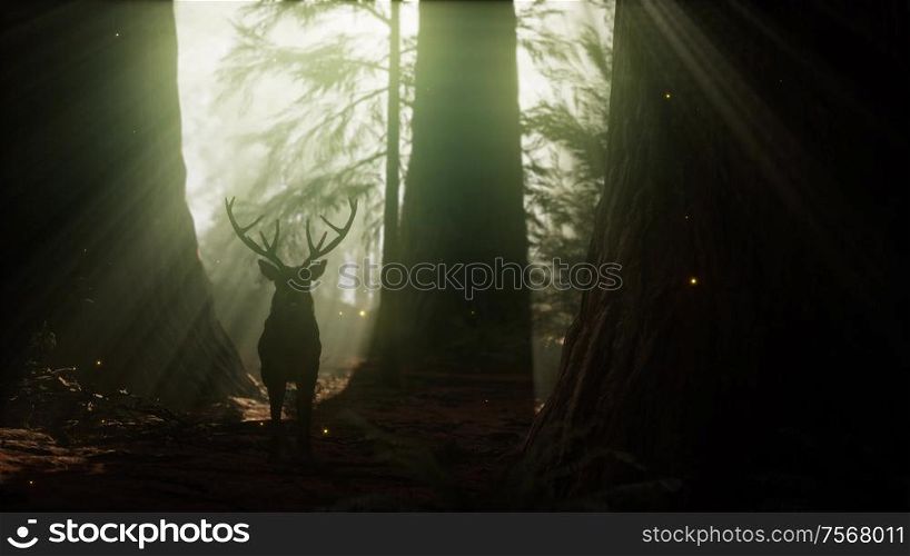 Beautiful deer in the forest with amazing lights at morning