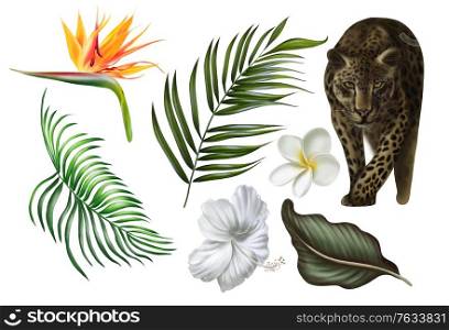 Beautiful digital set with tropical leaves, plumeria flowers and strelitzia flowers, animal leopard. Illustration. Beautiful digital set with tropical leaves, plumeria flowers and strelitzia flowers, animal leopard.