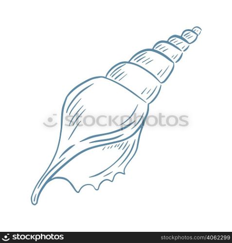 Beautiful drawn spiral shell hand drawn engraving vector illustration. Seashell sketch isolated object. Ocean clam simple outline. Beautiful drawn spiral shell hand drawn engraving vector illustration