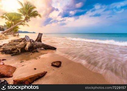 Beautiful early morning sunrise over Coconut tree with the sea the horizon at Hat chao lao beach in Chanthaburi Thailand.