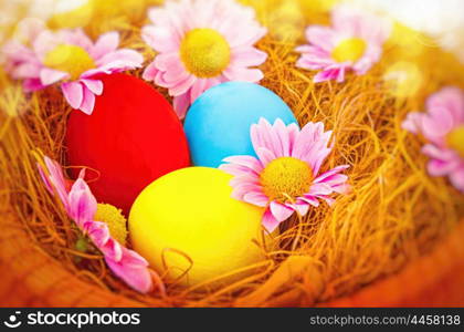 Beautiful Easter still life, three dyed in different colors eggs lying in the nest decorated with gentle pink daisy flowers, happy religious spring holiday&#xA;