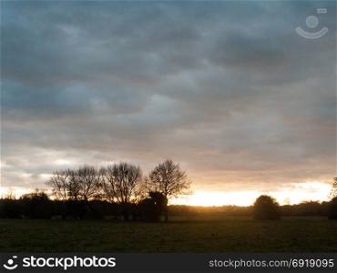beautiful empty autumn cold countryside trees grass dramatic sky sun set gold; essex; england; uk