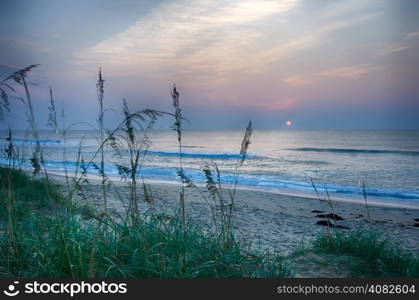 Beautiful empty beach at sunrise with dune vegetation