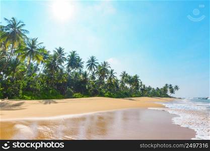 Beautiful empty beach on tropical island with coconut palm trees and clean sand at clear sunny summer day