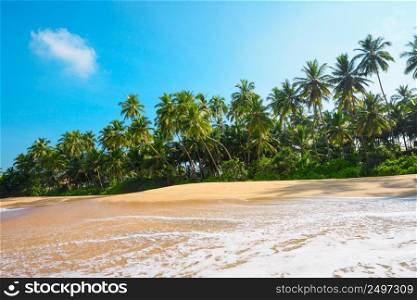 Beautiful empty clean beach on tropical island with coconut palm trees and clean sand at clear sunny summer day