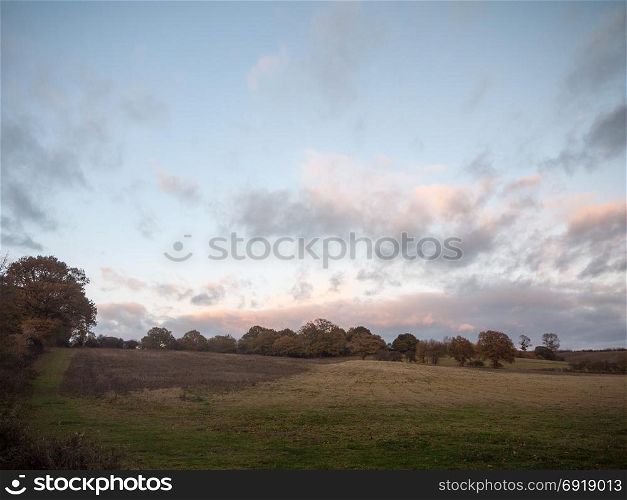 beautiful empty open country farm field space tree line clouds autumn; essex; england; uk