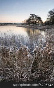 Beautiful English countryside lake image with frost and frozen lake in Winter at sunrise