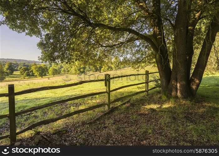 Beautiful English countryside landscape in Autumn