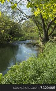 Beautiful English countryside river landscape with shallow depth of field