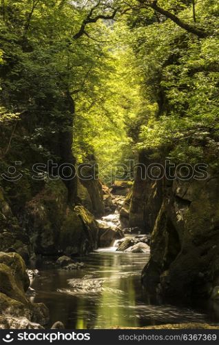 Beautiful ethereal landscape of deep sided gorge with rock walls and stream flowing through lush greenery