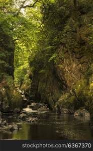 Beautiful ethereal landscape of deep sided gorge with rock walls and stream flowing through lush greenery
