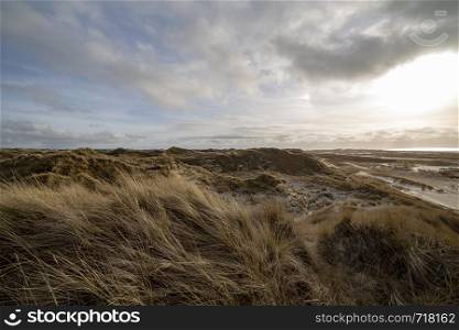 Beautiful evening atmosphere of the island of Amrum. Impressive dunes in back light with light cloudy sky. The sun almost shines through. North Frisia, Schleswig-Holstein, Germany.