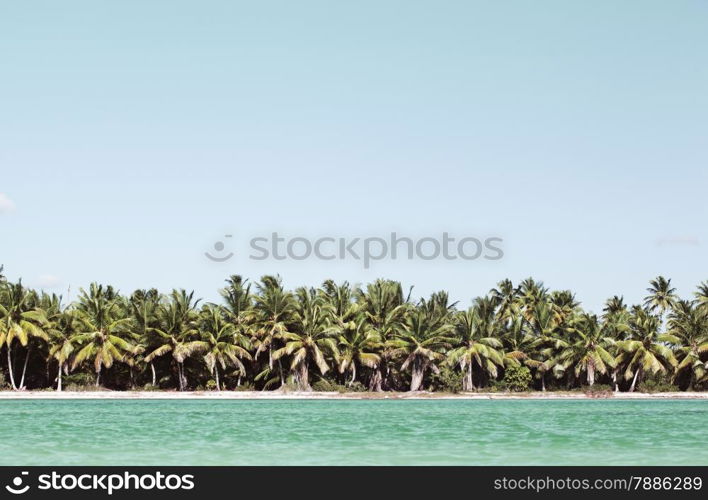 Beautiful exotic landscape with palm trees along the sea shore and clear blue water