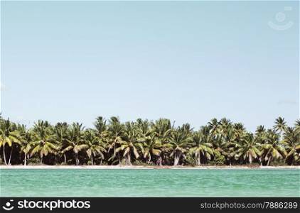 Beautiful exotic landscape with palm trees along the sea shore and clear blue water