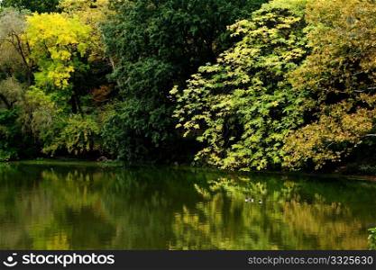 Beautiful fall autumn scenery of colorful green and yellow trees lining a reflection pond with two ducks swimming on a quiet lake.