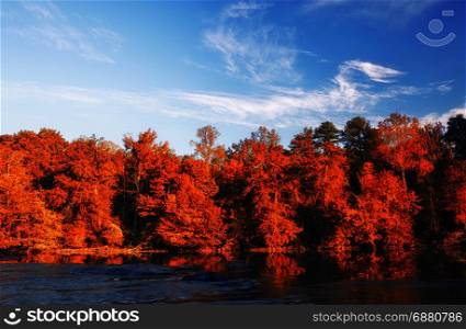 Beautiful fall colors forest reflected in river